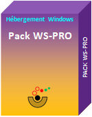 Hébergement Windows Pack WS-PRO